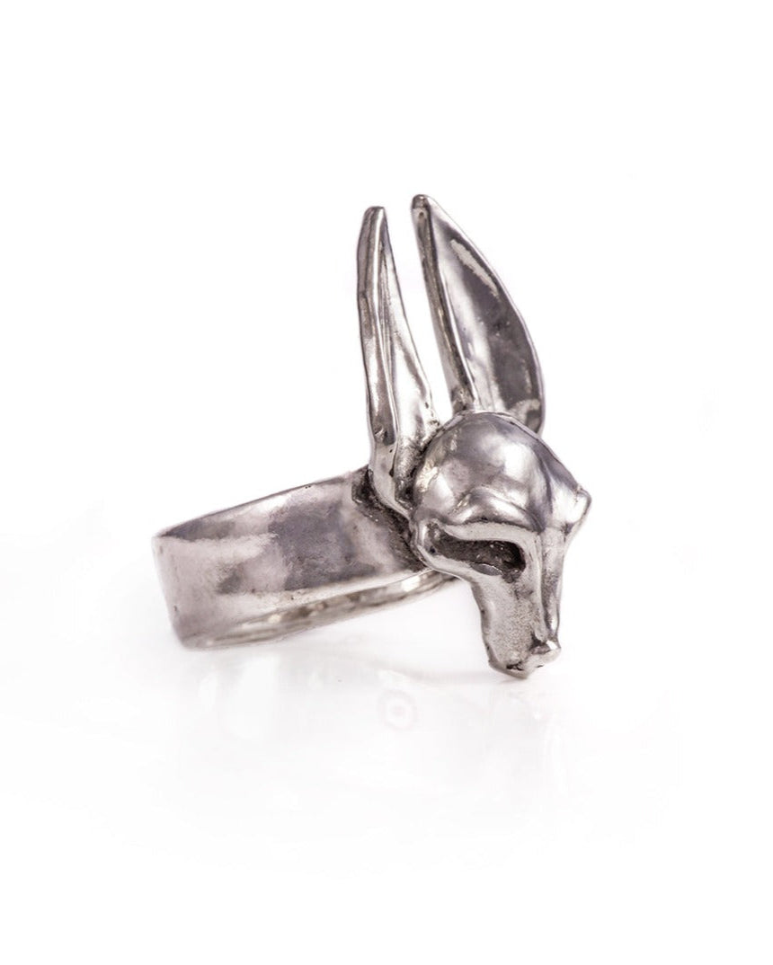 The Guardian Ring - Sterling Silver Protective Symbol Ring