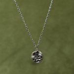 Silver necklace with a round pendant on a green background