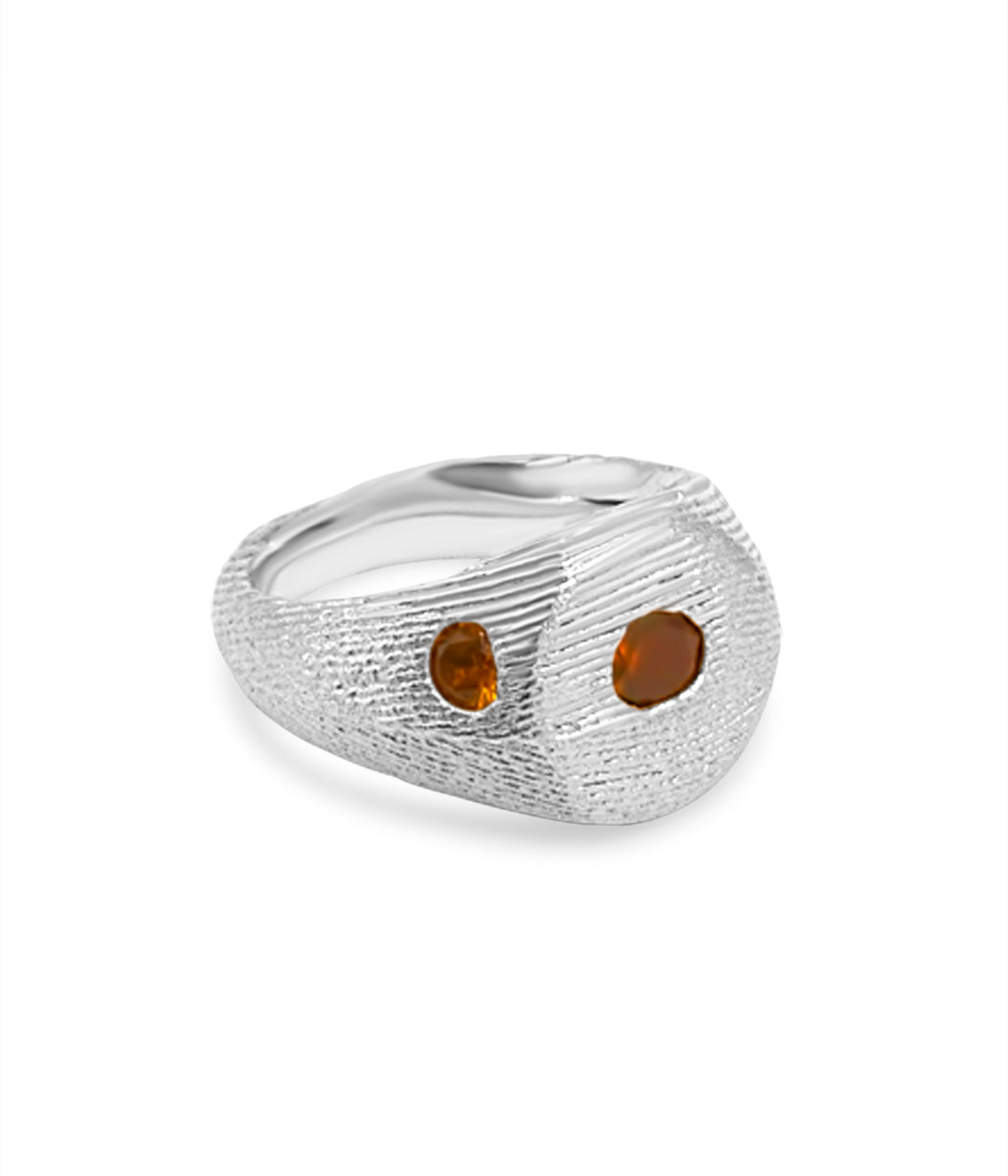 Silver ring with two embedded stones on a white background