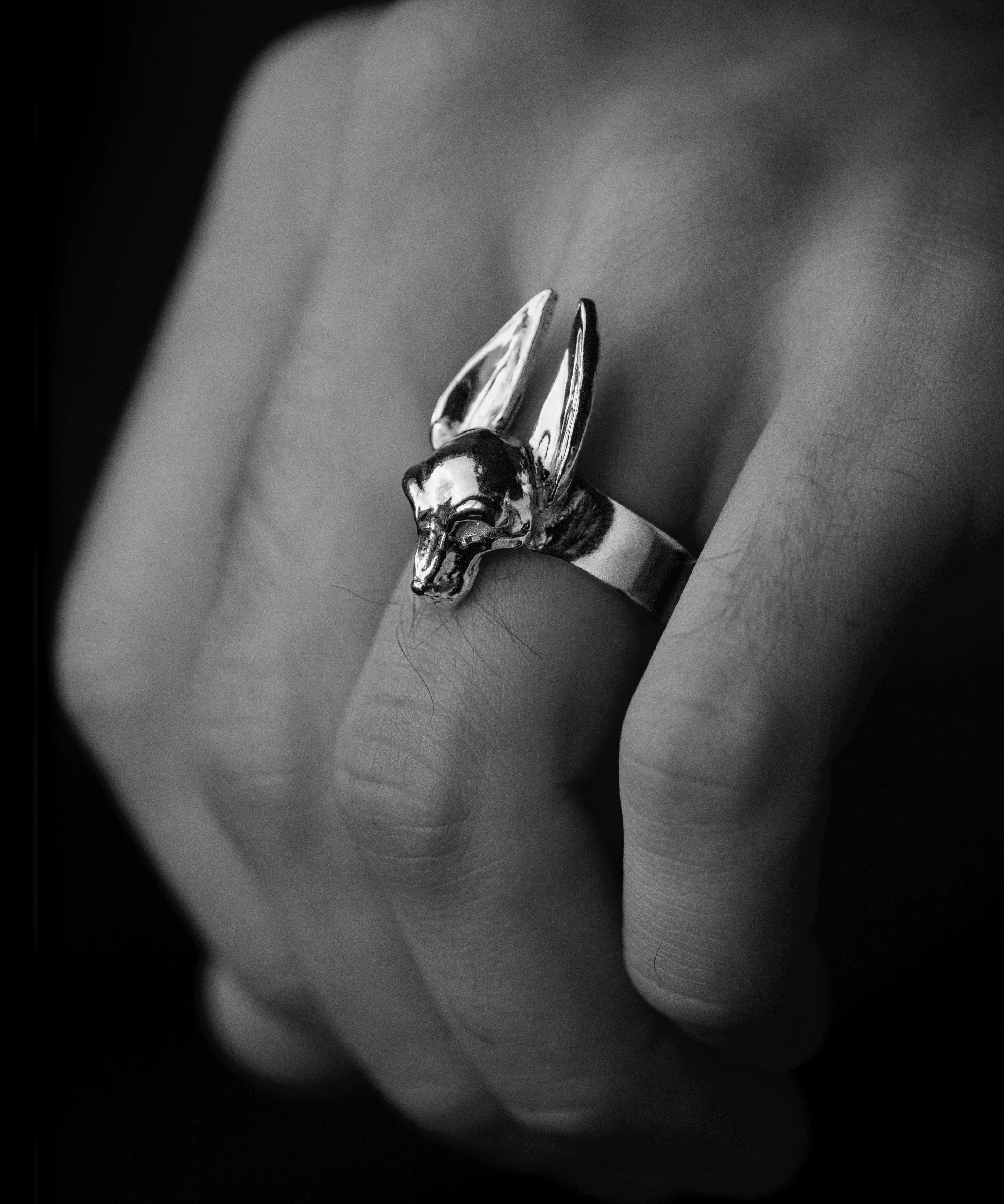 The Guardian Ring - Sterling Silver Protective Symbol Ring