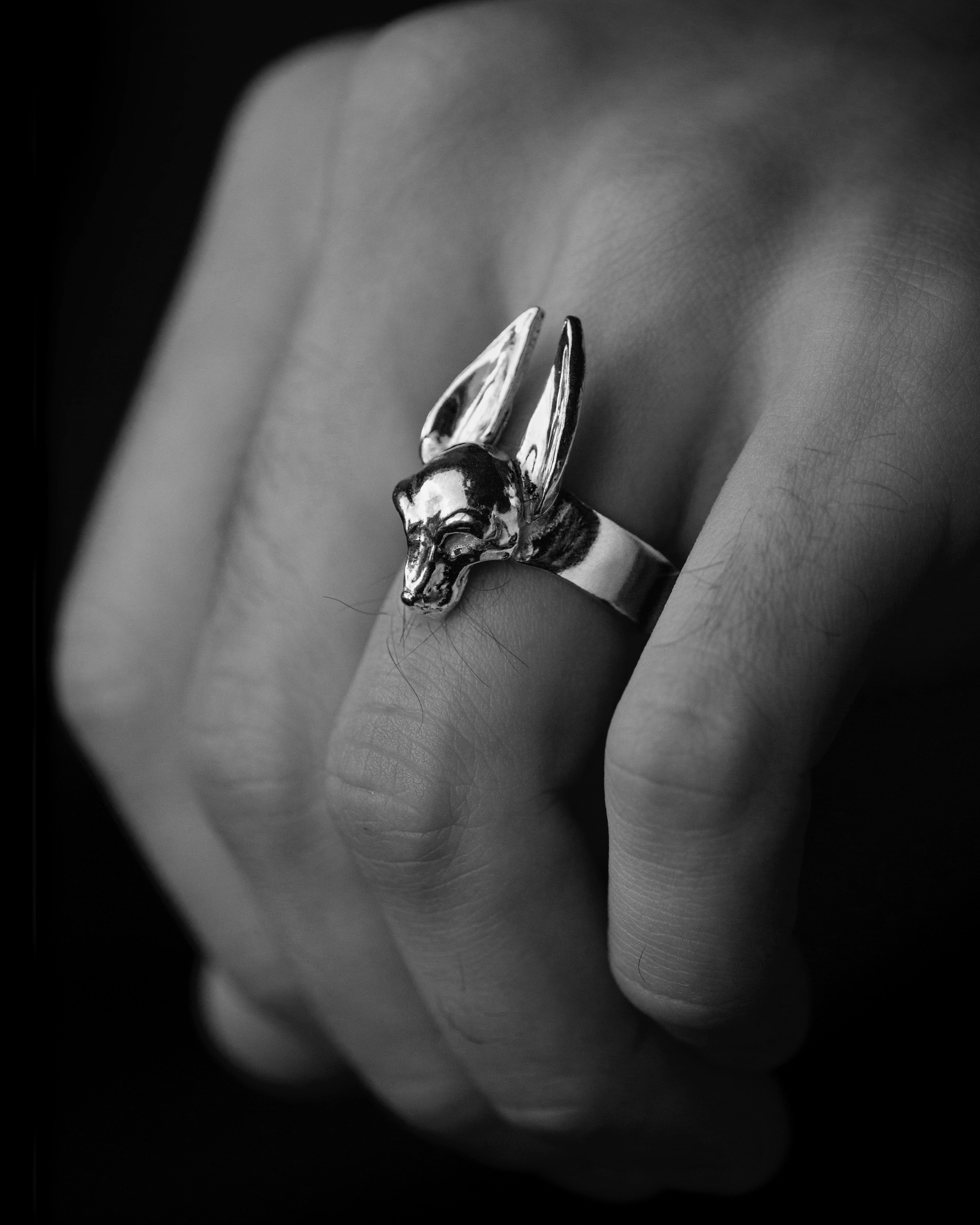 The Guardian Ring - Sterling Silver Protective Symbol Ring