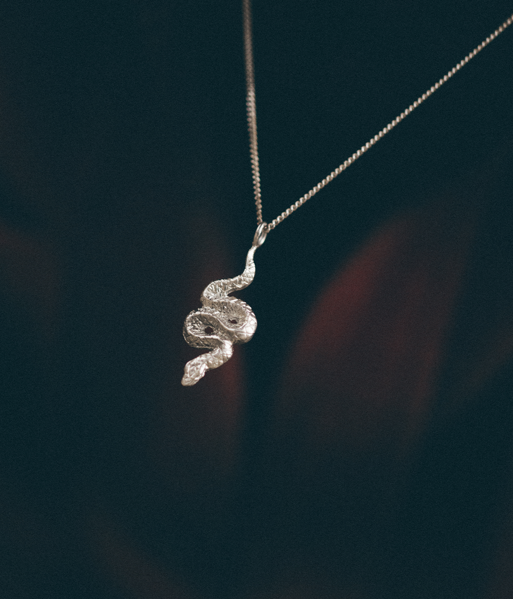 snake pendant in focus
