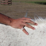 Close-up of a hand wearing a silver horseshoe ring resting on a white speckled horse. Outdoor ranch setting evokes Western lifestyle
