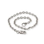 Silver chain with a clasp on a white background