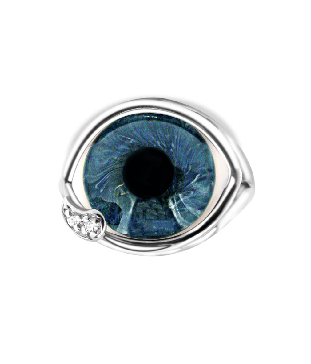 Blue eye-shaped object with a silver frame on a white background