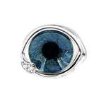 Blue eye-shaped object with a silver frame on a white background