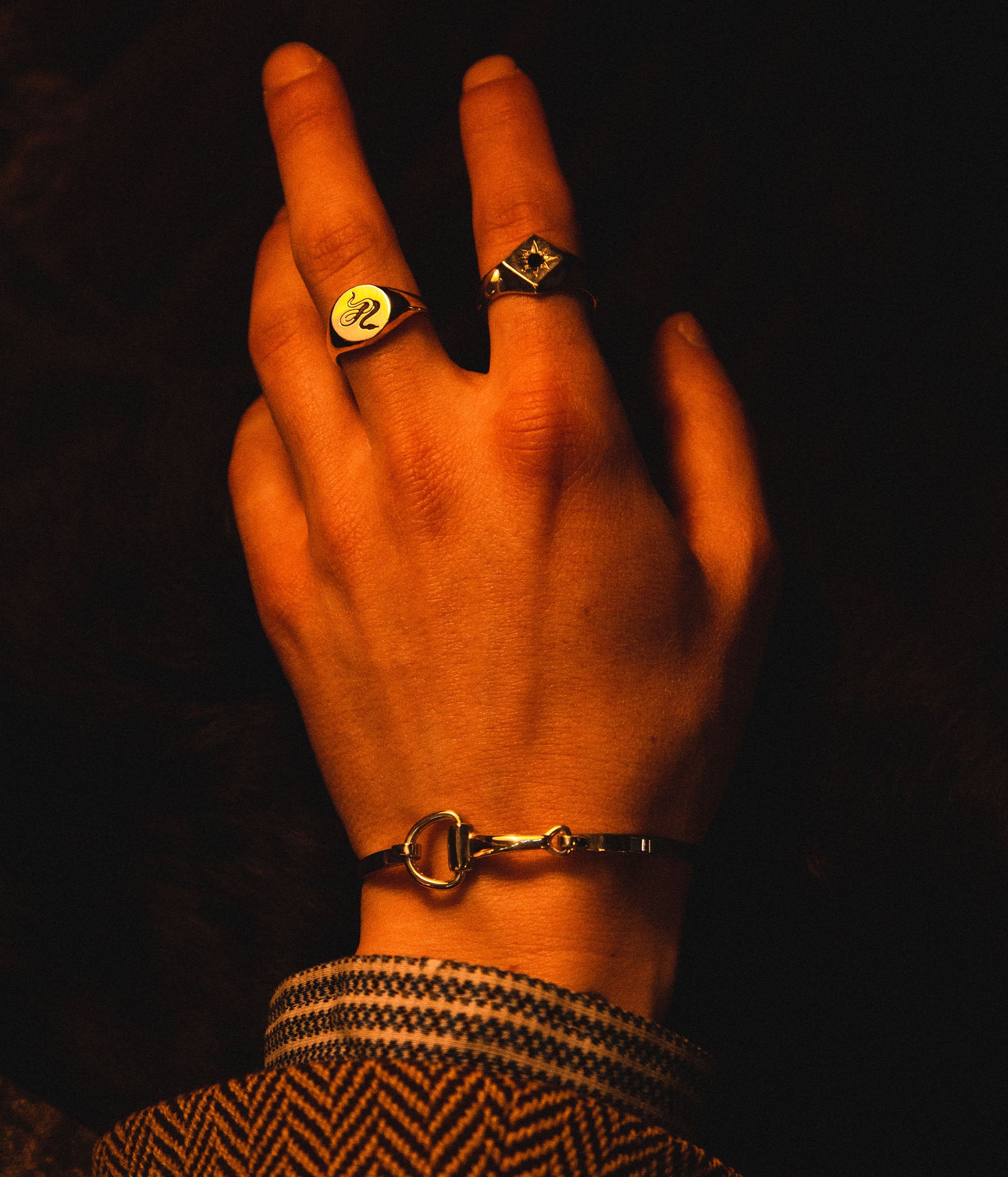 Traditional round sterling silver signet ring with snake engraving by Futaba for The Hunt on male models hand in yellow light