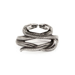 Silver snake-shaped ring on a white background
