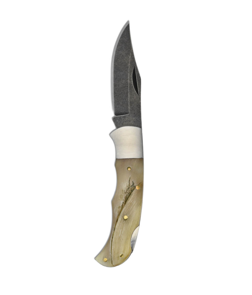 A folding pocket knife with a dark gray steel blade, a silver bolster, and a light beige bone or horn handle featuring brass rivets and a small engraved design, shown on a plain white background.