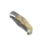 A folding pocket knife with a polished silver metal blade and handle, featuring a natural beige bone or horn inlay with a small engraved leaf design, shown on a plain white background.