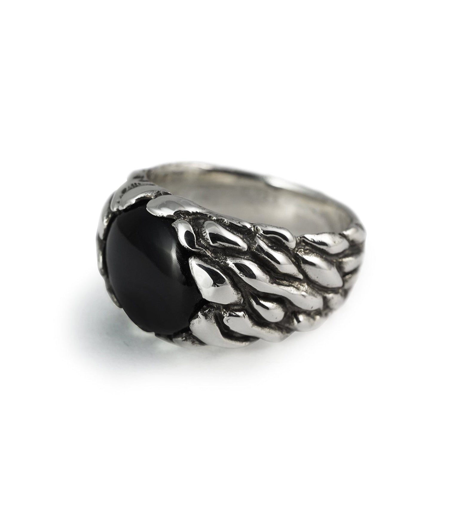 Aqua Onyx - The Hunt