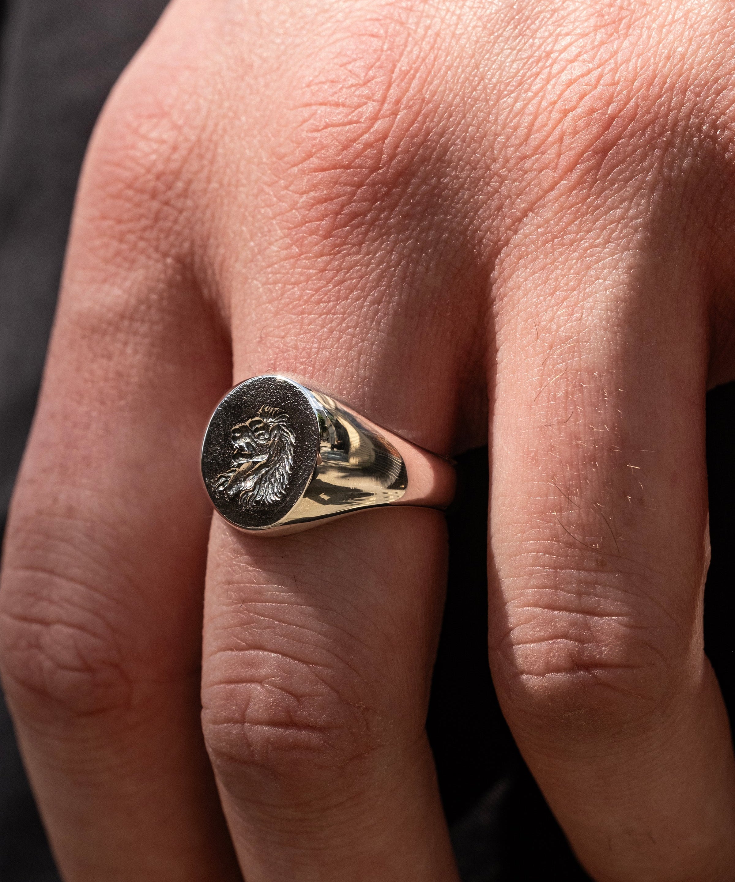 Lion Signet – The Hunt