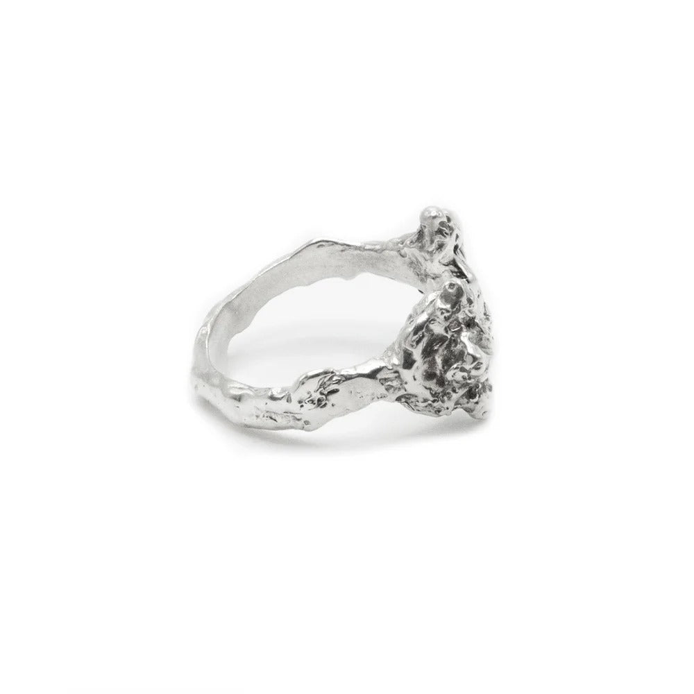 Mollusk Ring – The Hunt