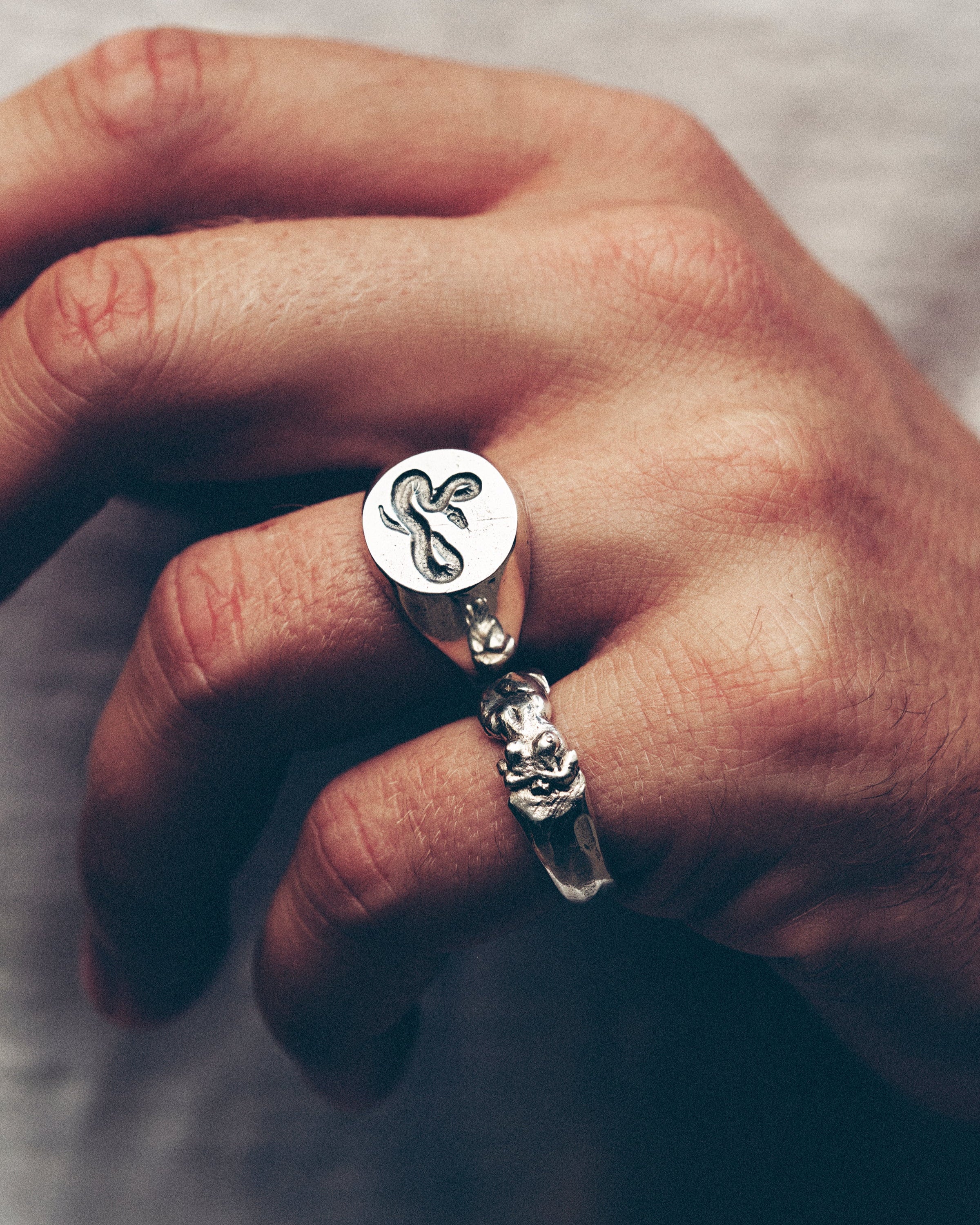 Snake Signet Ring – The Hunt